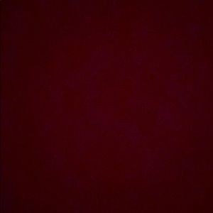 Meet your Posher, Shelby